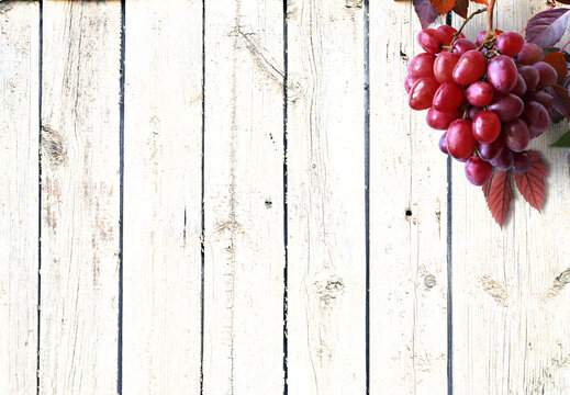 Wooden table top with grapes. Grape bushes background.
