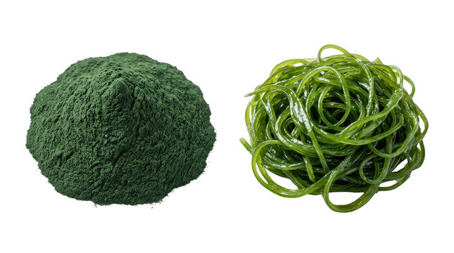 Spirulina Powder and Seaweed Photo Isolated Set
