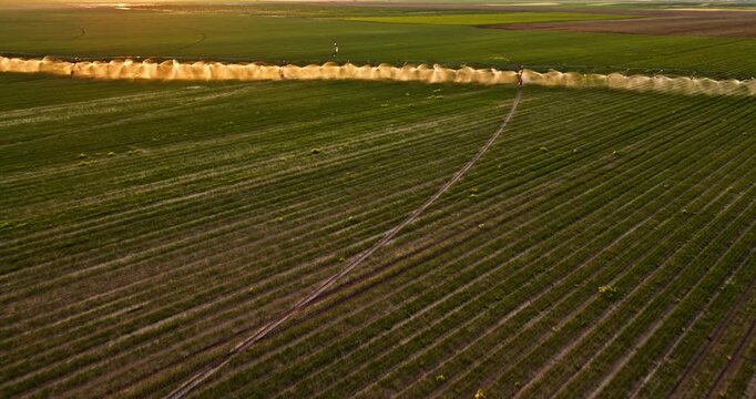 Center pivot irrigation system spraying water over agricultural green farm field