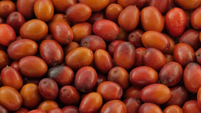 Close-Up Rotating Pile Of Fresh Ripe Jujube Chinese Date Fruit