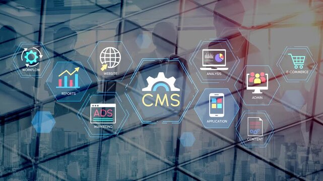 Modern Digital Solutions for Content Management Systems in Business Growth and E-Commerce Optimization with Various Applications and Analytics Tools. Entropy.
