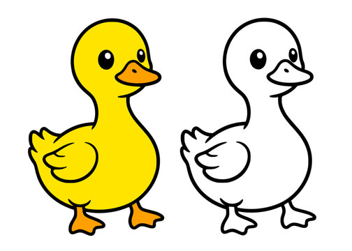 Cute duck illustration icon in line art style and colored, coloring page for kids
