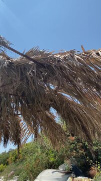 Beach umbrella made of dried palm fronds rustles gently in the wind