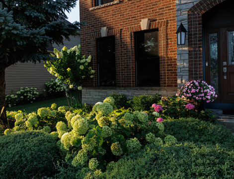 Lush late summer garden frames a beautiful brick and limestone house with green Incrediball hydrangea blooms, pink impatiens, sculpted shrubs and layered foliage glowing in warm golden sunlight.
