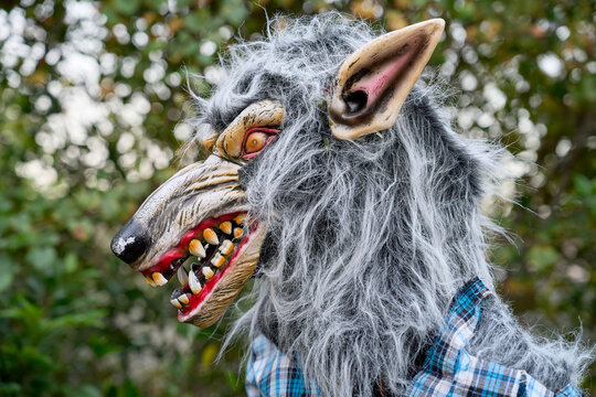 A grinning werewolf mask in side view shows a long snout, crooked teeth, and a pink inner ear. The shaggy gray fur and plaid shirt create a spooky outdoor Halloween portrait.