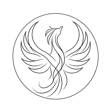 Elegant Phoenix Bird Line Art Circular Badge Logo Vector Design