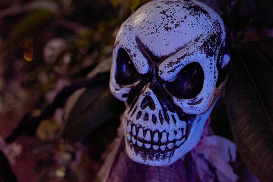 Closeup portrait of a creepy skull prop in blue night light. Grinning teeth and hollow eye sockets add eerie Halloween mood.