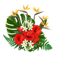 Hibiscus, strelitzia and plumeria flowers with green tropical leaves on white background © New Africa
