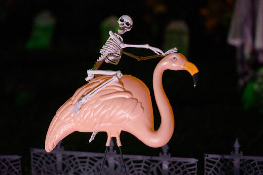 Toy skeleton rides a pink lawn flamingo with green accent light. Halloween yard decoration with eerie mood and clean copy space.