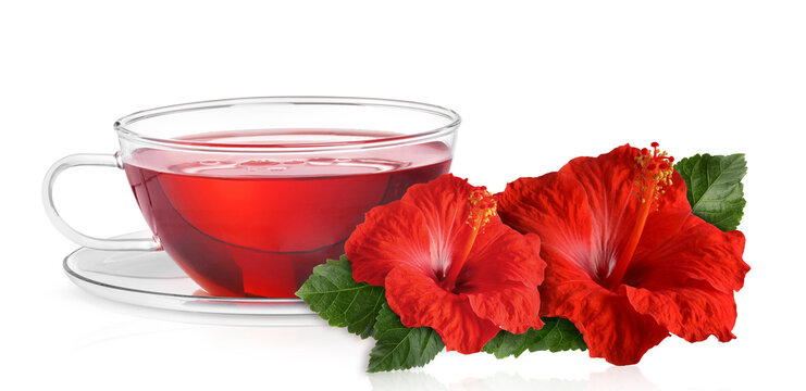 Freshly brewed hibiscus tea and red flowers isolated on white