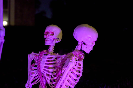 Two Halloween skeletons sit back to back with thick rope under purple lighting on a lawn at night. Spooky outdoor decorations create a dramatic, macabre yard display.