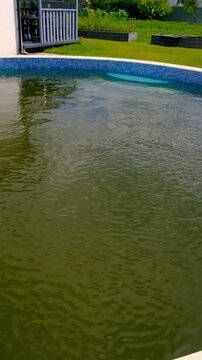 The water in the pool is dirty. Selective focus.