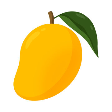Fresh ripe yellow mango fruit with a green leaf isolated on a white background