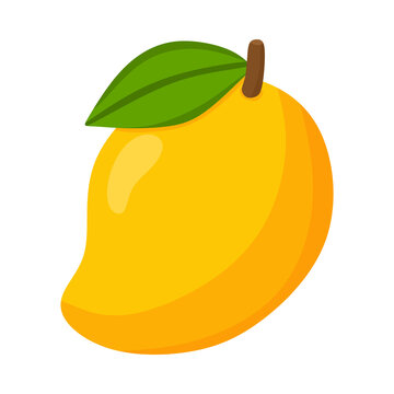 Fresh yellow mango fruit with a green leaf isolated on a white background