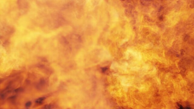 Pack Of 4 Fire Transitions On Alpha Channel