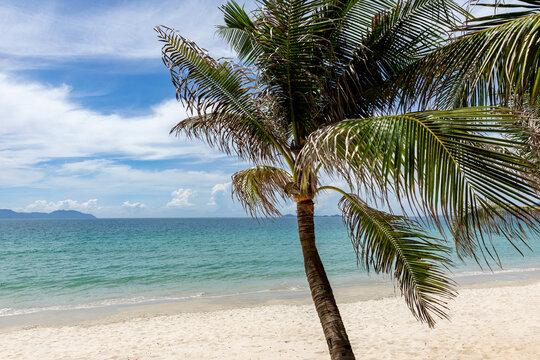 Sea beach paradise, tropical island, beautiful nature landscape, turquoise ocean water, palm trees, white sand, sun, blue sky cloud, summer vacation travel, Caribbean, Maldives, Thailand. Honeymoon