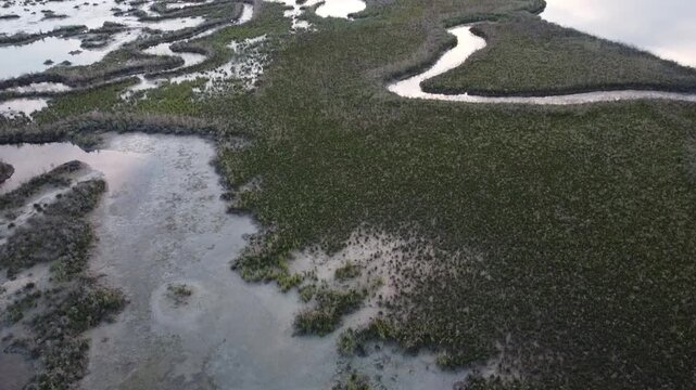 Aerial View of Lio Piccolo Marshlands in the Venice Lagoon