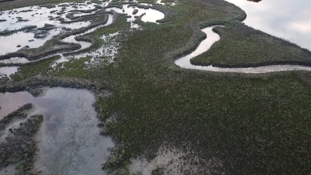 Aerial View of Lio Piccolo Marshlands in the Venice Lagoon