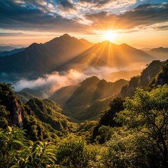 Obraz premium Golden sun shines over high mountain peaks at sunrise. Mist floats in valley between green hills, forest. Beautiful landscape view with orange sky, clouds, light rays. Scenic nature panorama during
