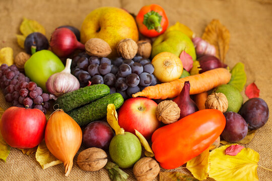 Abundant autumn harvest of fresh organic fruits vegetables and walnuts on burlap