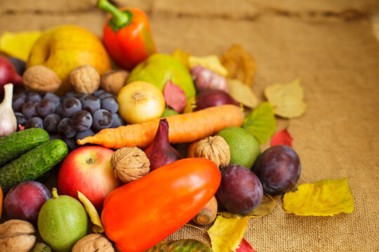 Autumn harvest of fresh organic vegetables, fruits and nuts on burlap background
