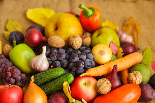 Rich autumn harvest of fresh organic vegetables fruits and nuts on burlap
