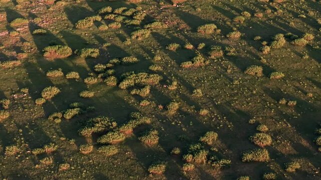 Aerial pull back over wild scrubland texture with dramatic long shadows cast by low twilight sun across natural terrain landscape.