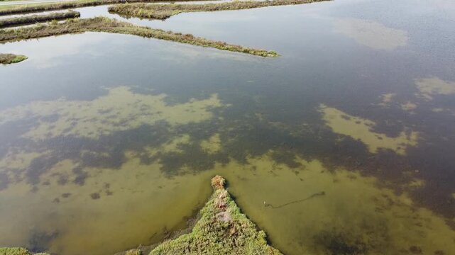 Aerial View of Lio Piccolo Marshlands in the Venice Lagoon