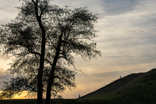 The silhouette of a tree and two people climbing Monks Mound at sunset
