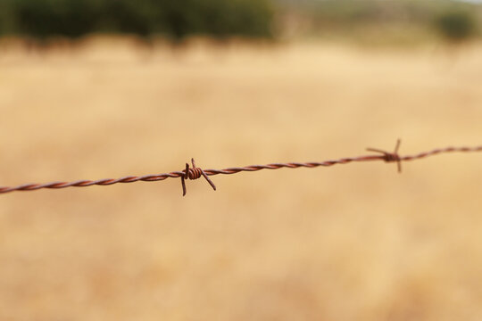 Close-up of rusty barbed wire stretching across a dry rural landscape, with a shallow depth of field and soft golden fields and trees blurred in the background. The image conveys themes of rural