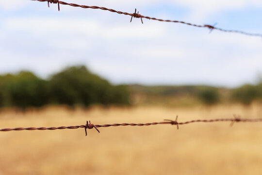 Close-up of rusty barbed wire stretching across a dry rural landscape, with a shallow depth of field and soft golden fields and trees blurred in the background. The image conveys themes of rural