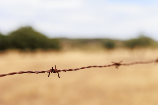 Close-up of rusty barbed wire stretching across a dry rural landscape, with a shallow depth of field and soft golden fields and trees blurred in the background. The image conveys themes of rural