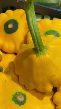 Vibrant yellow pattypan squash neatly arranged in a wooden crate creates an eye catching market display, offering fresh seasonal vegetables for grocery stores and everyday shopping. Close up.