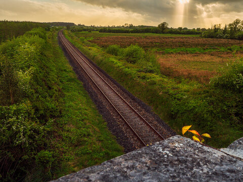 Curved railway track winds through lush greenery and forested hills. Gravel bed and rails stretch into distant trees under soft, golden light. Peaceful rural scene with dark and dramatic mood.