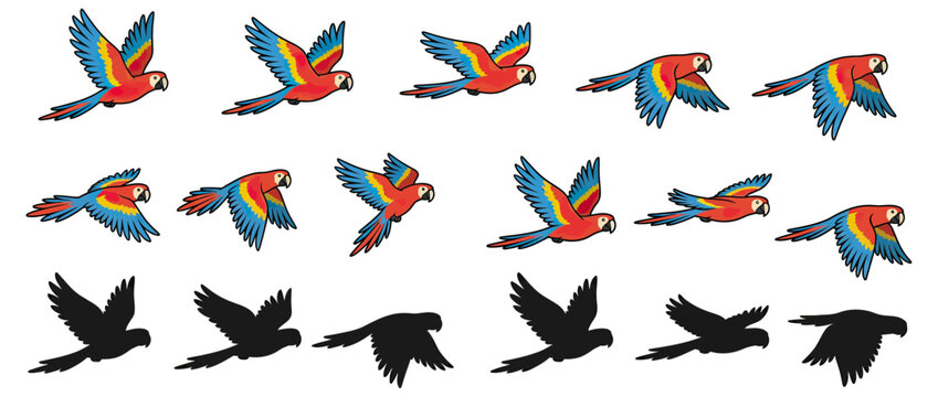 Colorful Macaw Parrot Flying Animation Sequence Isolated