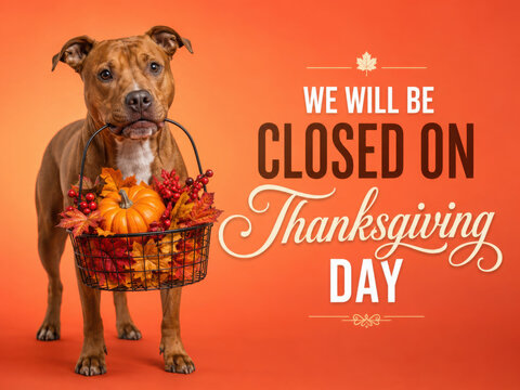 Signboard with the inscription We will be closed on Thanksgiving. Charming brown dog and bright background. Close-up, indoors. Studio shot. Pet care concept