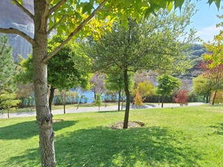 Obraz premium trees in the park