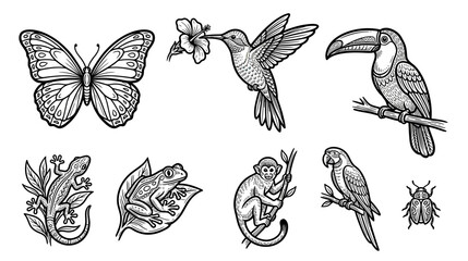 Naklejka premium Exotic Wildlife Collection: Butterfly, Hummingbird, Toucan, Lizard, Frog, Monkey, Parrot, Beetle