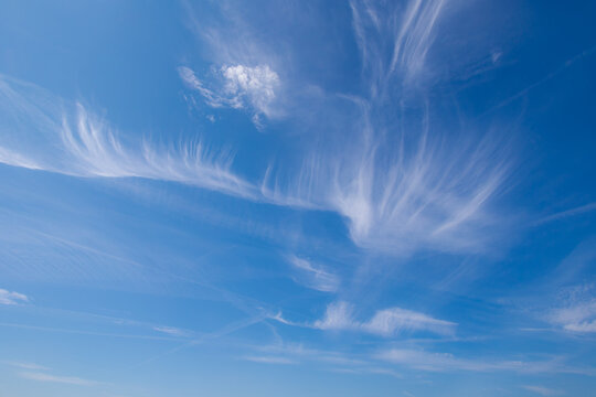 Beautiful white puffy cloud in strange shaped floating in blue sky, Cirrus clouds are short, detached, hair-like clouds found at high altitudes, Horizon nature background with free copy space.