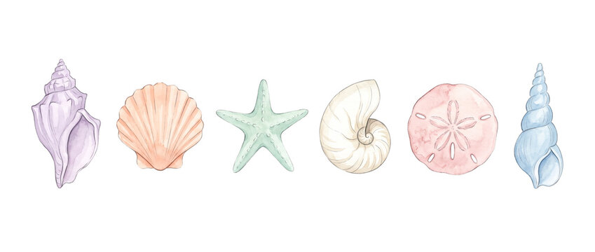 Seashell watercolor illustration collection isolated on white background featuring pastel conch, scallop, starfish, nautilus, sand dollar and spiral shell elements for coastal ocean marine summer art.