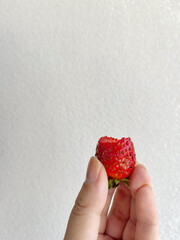 strawberry in hand. Hand holding a fresh, Bittencourt strawberry against a white background. © Rebeca
