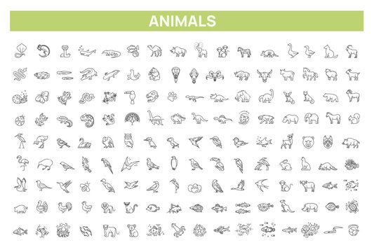 Animal icons. Vector outline icon set. Zoo