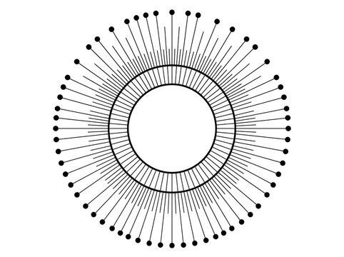 Abstract radial geometric sunburst with concentric circles and dotted radiating lines on white background
