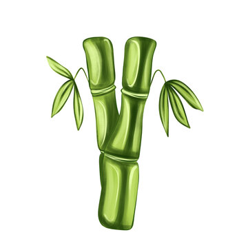 Fresh green bamboo stems with leaves vector illustration