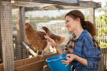 Adult woman in dress feeding chickens grain in hen house © JackF