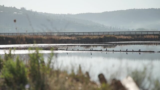 Low water levels reveal the shallow evaporation ponds of the Secovlje Salt Pans, where sunlight reflects across calm pools and exposed muddy ground. The atmospheric landscape highlights drought