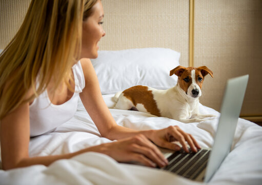 Working Beside Pet Dog.