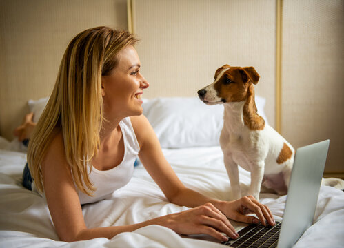 Working With Pet Dog.