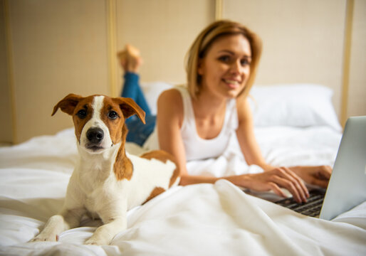 Dog Beside Remote Worker.