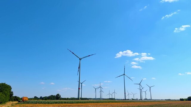 Wind turbines in green crop field under blue sky. Line of modern wind generators stands behind cultivated agricultural field under bright blue sky.